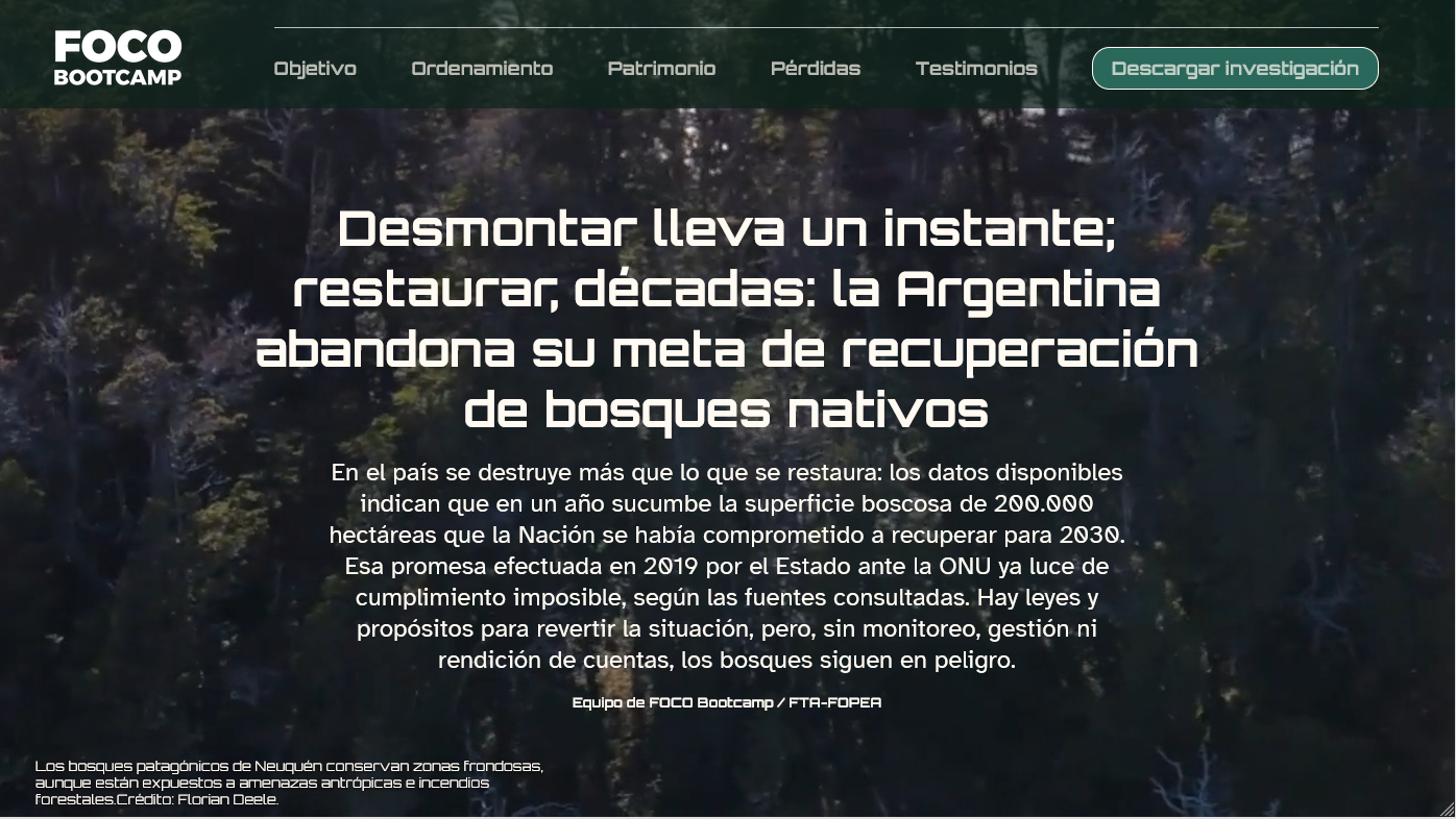 Captura de la investigación sobre restauración de bosques nativos
